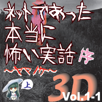 Сƥߥ塼å󥿥ƥȳ ͥåȤǤäݤ 3D Vol.1-1  () 