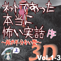 Сƥߥ塼å󥿥ƥȳ ͥåȤǤäݤ 3D Vol.1-3 () 