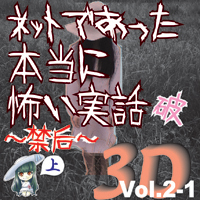 Сƥߥ塼å󥿥ƥȳ [ǥ֥å] ͥåȤǤäݤ 3D Vol.2-1 ˡ () 