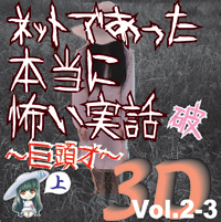 Сƥߥ塼å󥿥ƥȳ [ǥ֥å] ͥåȤǤäݤ 3D Vol.2-3ˡ () 