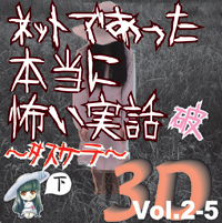 Сƥߥ塼å󥿥ƥȳ [ǥ֥å] ͥåȤǤäݤ 3D Vol.2-5ˡ () 