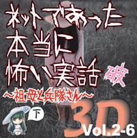 Сƥߥ塼å󥿥ƥȳ [ǥ֥å] ͥåȤǤäݤ 3D Vol.2-6ˡ () 