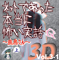 Сƥߥ塼å󥿥ƥȳ [ǥ֥å] ͥåȤǤäݤ 3D Vol.3-1 Q () 