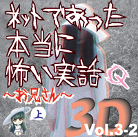 Сƥߥ塼å󥿥ƥȳ [ǥ֥å] ͥåȤǤäݤ 3D Vol.3-2 Q () 