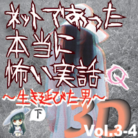 Сƥߥ塼å󥿥ƥȳ [ǥ֥å] ͥåȤǤäݤ 3D Vol.3-4 Q () 
