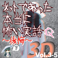Сƥߥ塼å󥿥ƥȳ [ǥ֥å] ͥåȤǤäݤ 3D Vol.3-5 Q () 