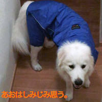 �ԥ�͡������� ���� �֤����Ϥ��ߤ��߻פ����״�2