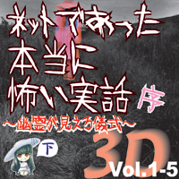 Сƥߥ塼å󥿥ƥȳ [ǥ֥å] ͥåȤǤäݤ 3D Vol.1-5 () 
