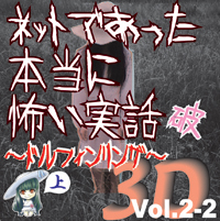 Сƥߥ塼å󥿥ƥȳ [ǥ֥å] ͥåȤǤäݤ 3D Vol.2-2ˡ () 