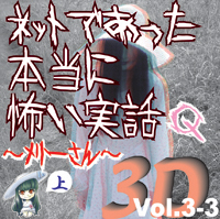 Сƥߥ塼å󥿥ƥȳ [ǥ֥å] ͥåȤǤäݤ 3D Vol.3-3 Q ()