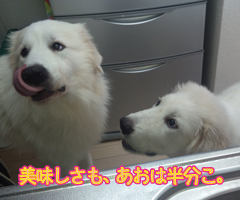 �ԥ�͡������� ���� ����̣�����⤢����Ⱦʬ�����״�3